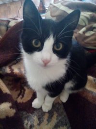 Я тоже не понимаю. Мне нравится эта фотка.