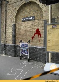 Фанат Гарри Поттера попытался пройти сквозь стену на вокзале Кингс-Кросс