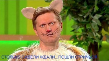 Неподдельные эмоции: 40 собак, узнавших, что их везут к ветеринару