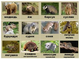 Смешные комментарии и высказывания из социальных сетей