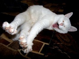 Картинки с надписями для настроения