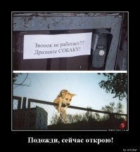 Картинки с надписями для настроения