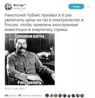 Чубайс фактически призвал поднять цену на газ в шесть раз