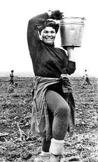 The Soviet Union, a look into the future: