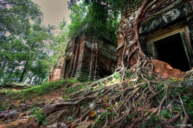а потом все уляжется и будет так