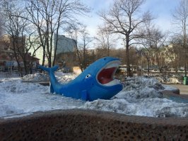 Сфотографировал во Владивостоке год назад.