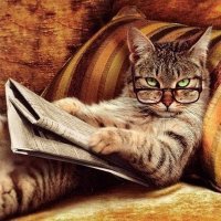 Хитрый и коварный кот – двигатель прогресса! Неравный бой с водяным Антошкой и другим высшим разумом