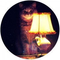 Нигериец хвастается в сети 145-летним дедом