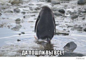 Фотоподборка за 01.02.2018