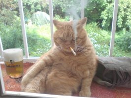 От пивка не откажусь...