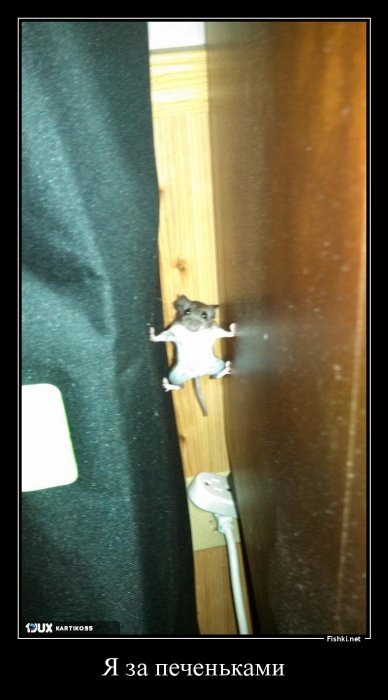 Фотоподборка за 30.01.2018