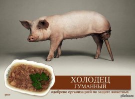 За поросёнка как-то так?