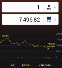 Теория большего дурака: Пузырь биткоин