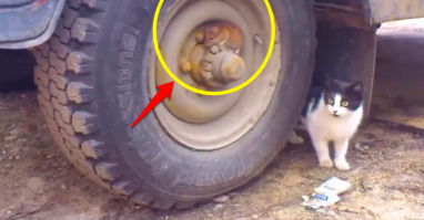 а может и почти как на фото ??