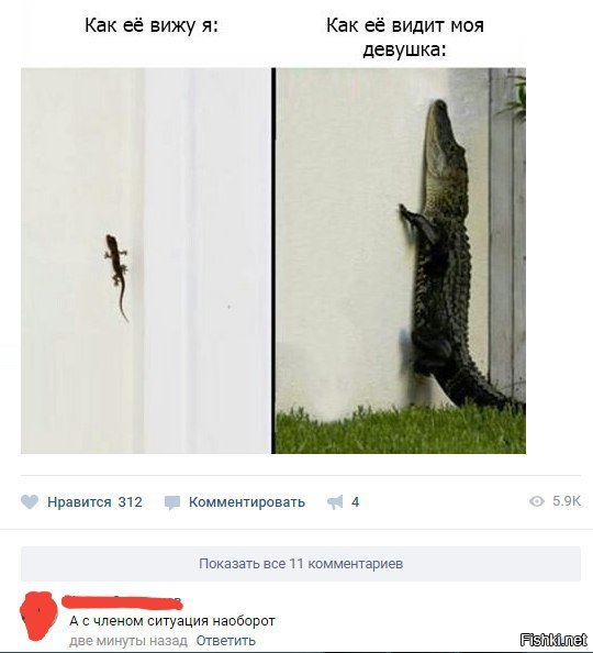 Смешные комментарии из социальных сетей