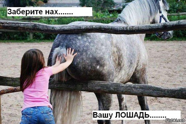 Чеченцы гнобят Собчак