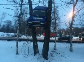 Обычные челябинские роллы.