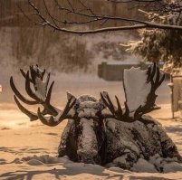 И я добавлю свои 5 копеек