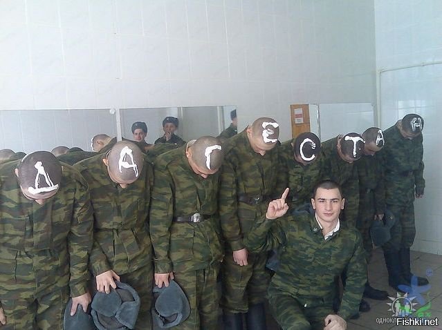 Свиноармия? Ты про эту что ли?