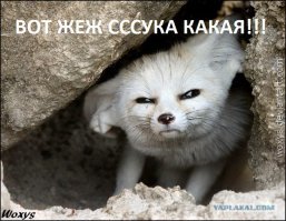 Как был муделем 20 лет назад, так им и остался
