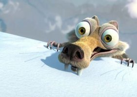 #этожебелочка

Руки прочь от наших белок!
Белки наше всё!