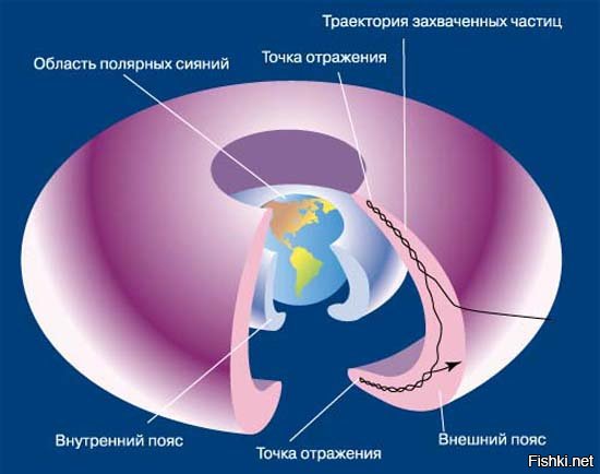 Идет представление в цирке