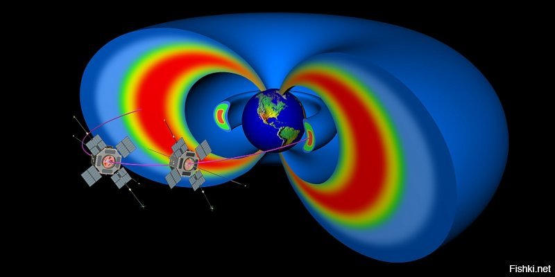 Идет представление в цирке
