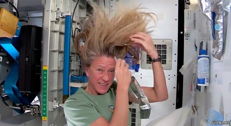 Идет представление в цирке