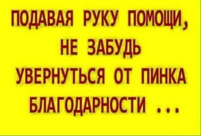 5 дней из жизни ветеринара