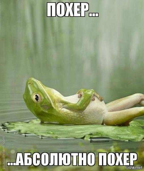 #яжемать пришла жаловаться на бесплатную квартиру