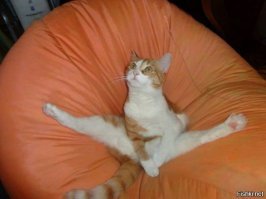 Смешные комментарии и высказывания из социальных сетей