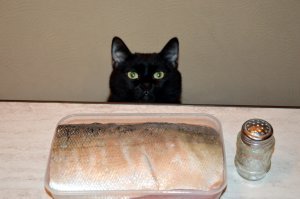 Делаем довольно часто. Горбуша, скумбрия.Середина рыбины в судок см30 (выходит примерно с кг), остальное на суп. Соль, лавровый лист. На сутки в холодильник.На фото кета