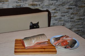 Делаем довольно часто. Горбуша, скумбрия.Середина рыбины в судок см30 (выходит примерно с кг), остальное на суп. Соль, лавровый лист. На сутки в холодильник.На фото кета