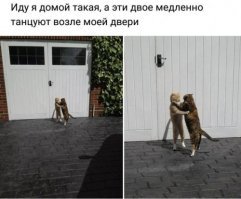 Смешные комментарии и высказывания из социальных сетей