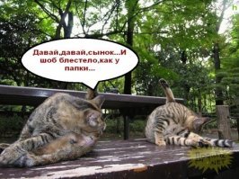 Везёт, когда есть куча свободного времени.