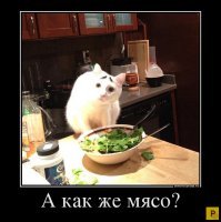 25 позитивных картинок, которые скрасят ваш день