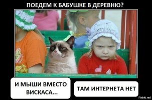 25 позитивных картинок, которые скрасят ваш день
