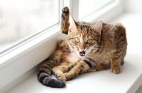 20 композиций как доказательство, что красоту можно найти в обыденности