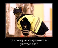 25 позитивных картинок, которые скрасят ваш день