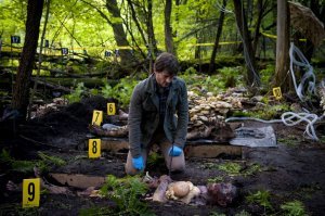 Напомнило сериал Hannibal (2013)