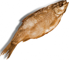 22-летняя девушка с церебральным параличом стала звездой Instagram