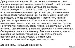 Просто звери