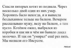 Как я нашу кошечку хоронить собирался