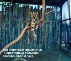 Неофициальный путеводитель по Астрахани-2