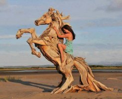 Прекрасные наездницы