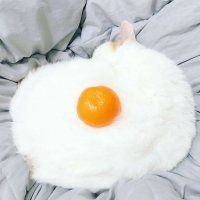 А вот яичница.
