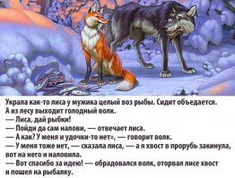 Kак лиса избавляется от блох