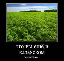 На сцену выходят казахи. Поэтому барабан аспабы!