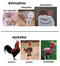 Смешные комментарии и высказывания из социальных сетей