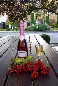 Вот эти фонтаны из белого и красного вина (на самом деле, это подкрашенная вода, вино бы скисло) находятся у нас в самом большом винохранилище Европы под названием Малые Милешты, 15 км от Кишинёва. Очень красивая природа, глубокие подвалы, низкие цены в магазине. Приезжайте к нам осенью! Туда туристов автобусами возят, они закупаются ящиками. Бутылка отличного коллекционного шампанского или хорошего вина Milestii Mici (Милештий Мичь) стоит до 100 российских рублей.